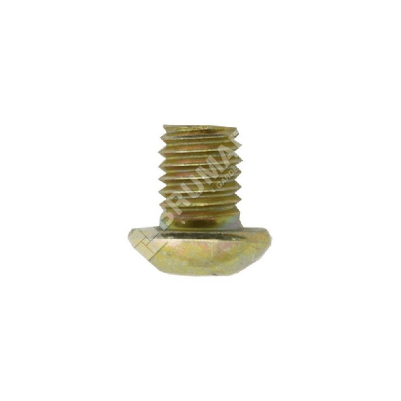 COMPATIBLE brush cutter screw - 004644