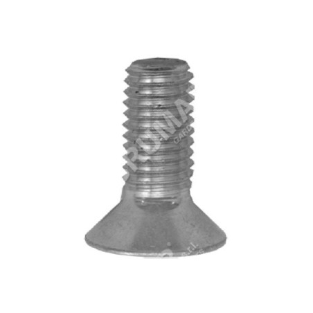 Vis COMPATIBLE débroussailleuse - 022751 | Newgardenstore.eu
