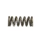 Muelle de embrague para desbrozadoras BLUE BIRD - ZANÈ 180040 COMPATIBLE - 009239