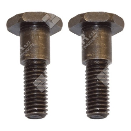 Clutch screw set for HONDA COMPATIBLE engines - 050624 | Newgardenstore.eu