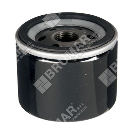 Filtre à huile moteur COMPATIBLE BRIGGS & STRATTON - 006797 | Newgardenstore.eu