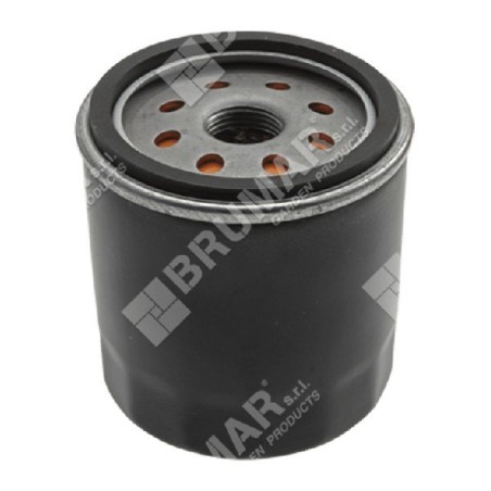 Filtre à huile moteur COMPATIBLE BRIGGS & STRATTON - 006796 | Newgardenstore.eu