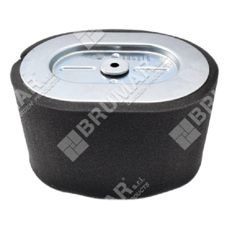 Luftfilter für BRIGGS & STRATTON-Motoren 799818 KOMPATIBEL - 050699 | Newgardenstore.eu