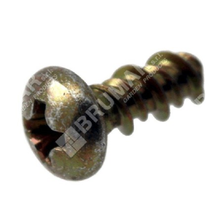 Schraube 4x10 Klingenführungsplatte OCS2801C KOMPATIBEL – 017863 | Newgardenstore.eu