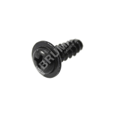 Tornillo 5x14 para motosierras OCS2801C COMPATIBLE - 017853 | Newgardenstore.eu