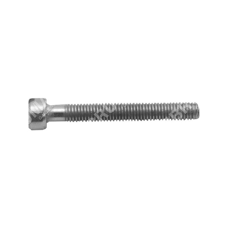 Chain tensioner screw for NOVATEC COMPATIBLE electric saws - 049699