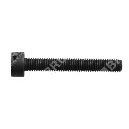 Tornillo tensor de cadena para podadoras KEYMA - COMPATIBLE YAT - 022784 | Newgardenstore.eu