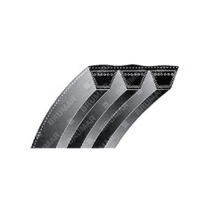 COURROIE RIB 14 1/8 pouces pour souffleuse à neige COMPATIBLE GARDEN PRO - 024383