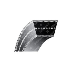 Cinghia TRAPEZOIDALE per decespugliatori a ruote ATTILA COMPATIBILE - 038633 | Newgardenstore.eu