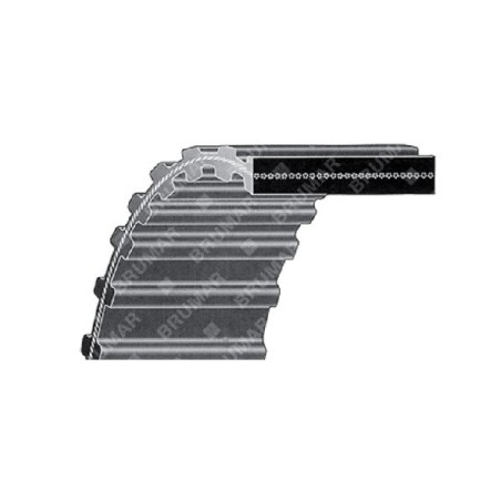 Cinghia DOPPIA DENTATURA 69 9/32 pollici per trattorini AGROSTROJ - AGS COMPATIBILE - 012608 | Newgardenstore.eu