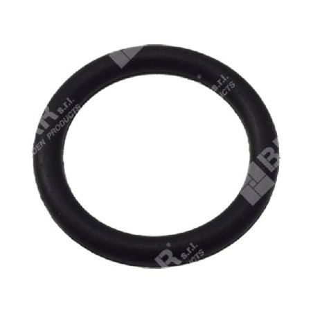 O-RING tappo pompa per motopompe DUCAR COMPATIBILE - 049571 | Newgardenstore.eu