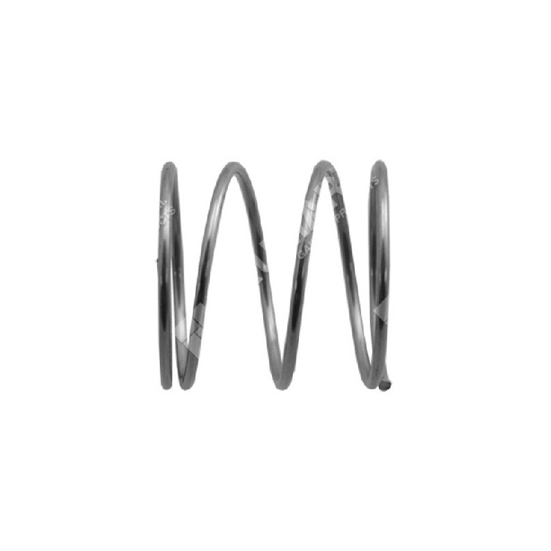 Ressort pour motopompes COMPATIBLES GTM - 027407