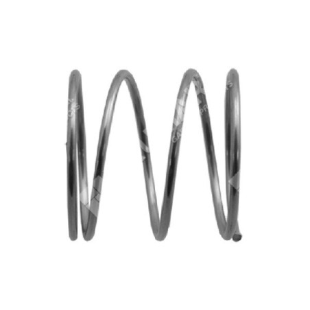 Spring for COMPATIBLE GTM motor pumps - 027407 | Newgardenstore.eu