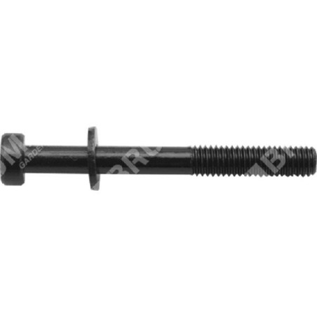 Schalldämpferschraube zmg4302-5302 m6x55 KOMPATIBEL - 049916 | Newgardenstore.eu