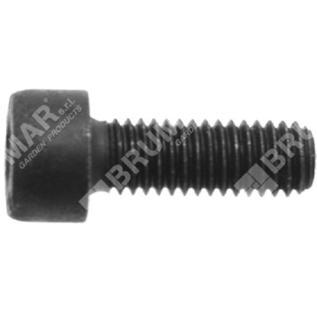 Tornillo allen m5x14 cg430bn COMPATIBLE - 023144 | Newgardenstore.eu