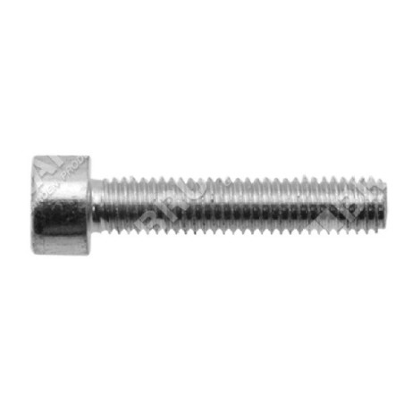 Vis Allen m5x25 cg430bn COMPATIBLE - 023142 | Newgardenstore.eu