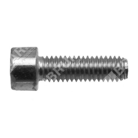 Vis de fixation du mécanisme à manivelle COMPATIBLE TH23/TJ23 - 007919 | Newgardenstore.eu