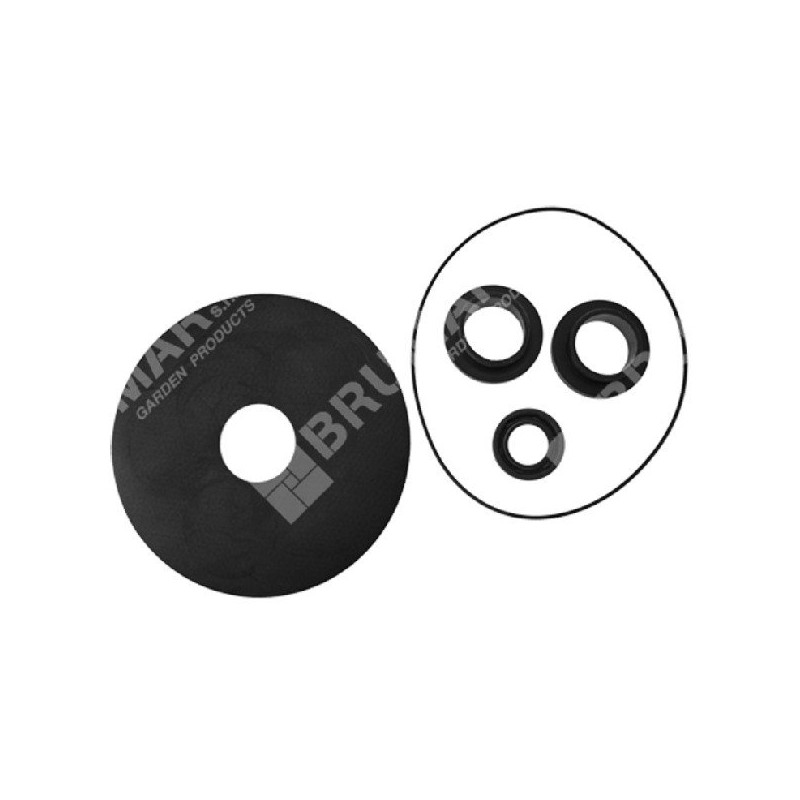 Kit de juntas para electrobombas COMPATIBLES ROVER POMPE - 013112