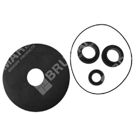 Dichtungssatz für ROVER POMPE COMPATIBLE Elektropumpen - 013112 | Newgardenstore.eu