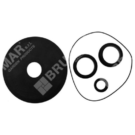 Kit de juntas para electrobombas COMPATIBLES ROVER POMPE - 000017 | Newgardenstore.eu