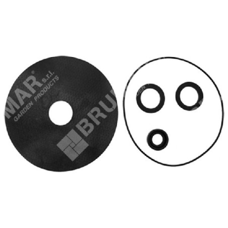 Kit de juntas para electrobombas COMPATIBLES ROVER POMPE - 000012 | Newgardenstore.eu