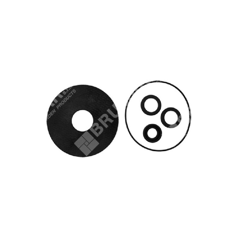 Kit de juntas para electrobombas COMPATIBLES ROVER POMPE - 000011