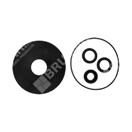 Kit de juntas para electrobombas COMPATIBLES ROVER POMPE - 000011 | Newgardenstore.eu