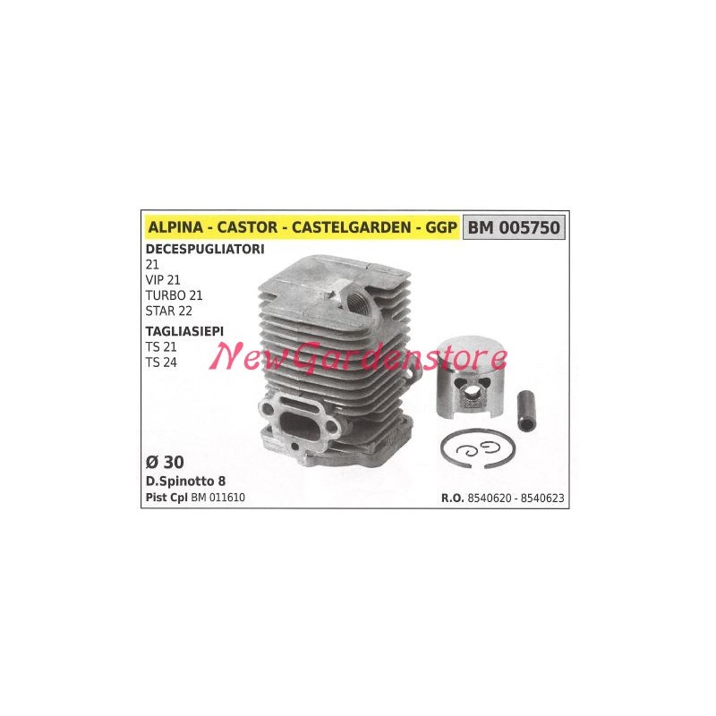 Piston cylinder segments ALPINA brushcutter motor 21 VIP21 TURBO 21 005750