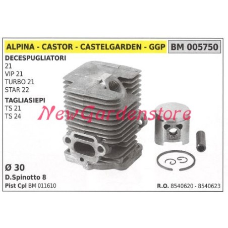 Segments de cylindre à piston ALPINA moteur de débroussailleuse 21 VIP21 TURBO 21 005750 | Newgardenstore.eu