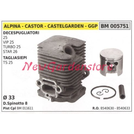 Piston cylinder segments ALPINA brushcutter engine 25 VIP25 TURBO 25 005751 | Newgardenstore.eu