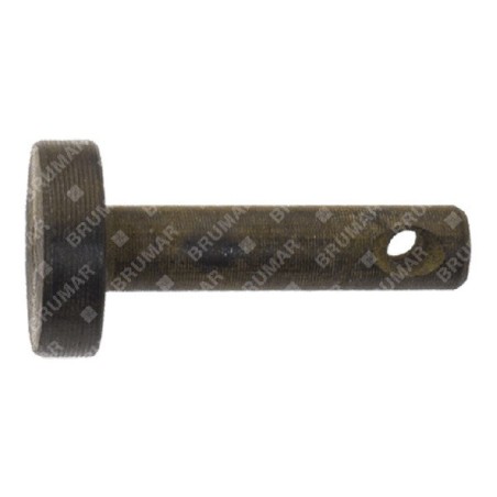 Pasador para sopladores COMPATIBLE GREEN LINE - 014757 | Newgardenstore.eu