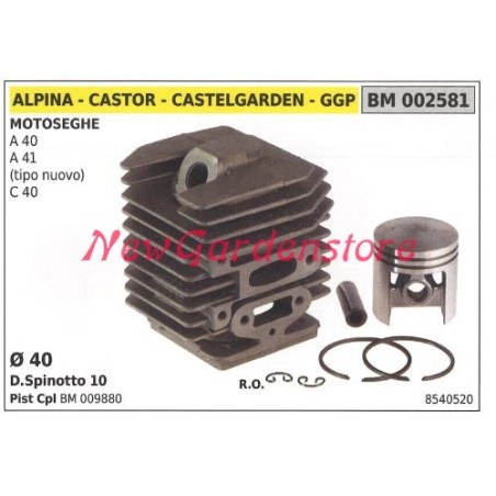 Cylindre piston segment ALPINA moteur tronçonneuse A40 41 C40 002581 | Newgardenstore.eu