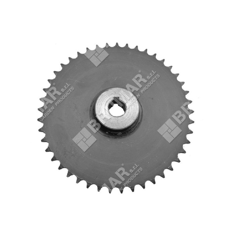 Engranaje grande para quitanieves COMPATIBLE MAORI - 039817