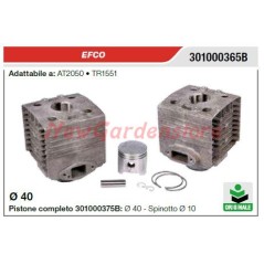 EFCO cut-off saw TR1551 AT2050 segment piston cylinder 301000365B