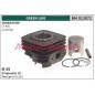 Piston cylinder segments GREEN LINE LT 950 brushcutter engine LT 950 012872