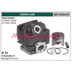 Cilindro pistone segmenti GREEN LINE motore tagliasiepe GT 600D 750S 004455