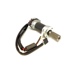 Motor reductor Ambrogio (sin escobillas - motorreductor): 042Z22400A_R | Newgardenstore.eu