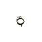Ambrogio L85 Wheel Spring Front : 075Z36901A