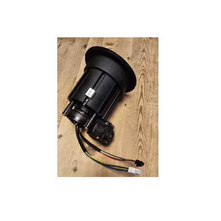 Moteur de lame Ambrogio L29 : 075Z61200A, 075Z61200A-R, 075Z61200A_R | Newgardenstore.eu
