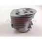 Segments de cylindre HUSQVARNA moteur de tronçonneuse 50 51 55 009832