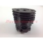 Piston cylinder segments HUSQVARNA chainsaw engine 51EPA 55EPA 009063