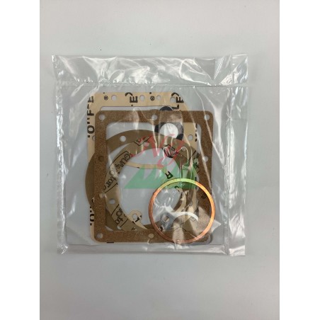 Dichtungssatz für Dieselmotor LOMBARDINI 6LD400 6LD435 8180.063 FIN071CGB | Newgardenstore.eu