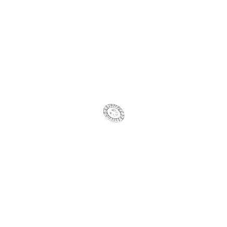 Starre Kupplungsscheibe 40010 FÜR PASQUALI GG4 40010 001 | Newgardenstore.eu