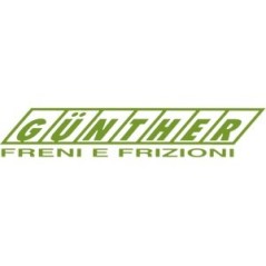 Mehrscheibengruppe 56096 FÜR PASQUALI GG5 56096 617 | Newgardenstore.eu