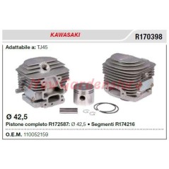 KAWASAKI Heckenschere TJ45 Kolbenzylinder Segmente R170398