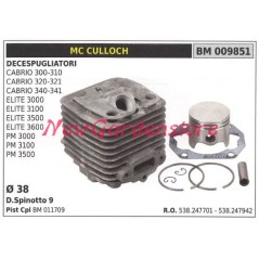 Cilindro pistone segmenti MC CULLOCH motore decespugliatore CABRIO 300 009851 | Newgardenstore.eu