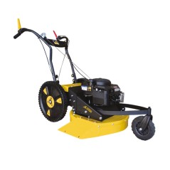 RL 2006 B 53 cm Segadora RL 2006 B 53 cm SERIE ROQUES ET LECOEUR con motor BRIGGS & STRATTON | Newgardenstore.eu
