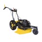RL 2006 B 53 cm mower RL 2006 B 53 cm SERIE ROQUES ET LECOEUR with BRIGGS & STRATTON engine