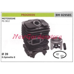 Piston cylinder segments PROGREEN chainsaw engine PG 3612 029585 | Newgardenstore.eu