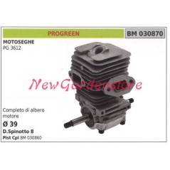 Piston cylinder segments PROGREEN chainsaw engine PG 3612 030870 | Newgardenstore.eu